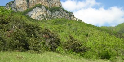 Beauregard Baret -  © CEN Rhône-Alpes.JPG