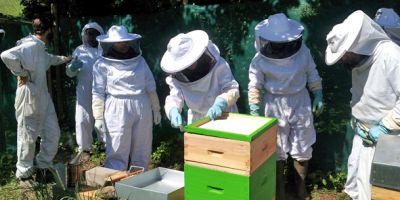 Photo apiculture 1 (c) Association Le Mat Drôme.jpg